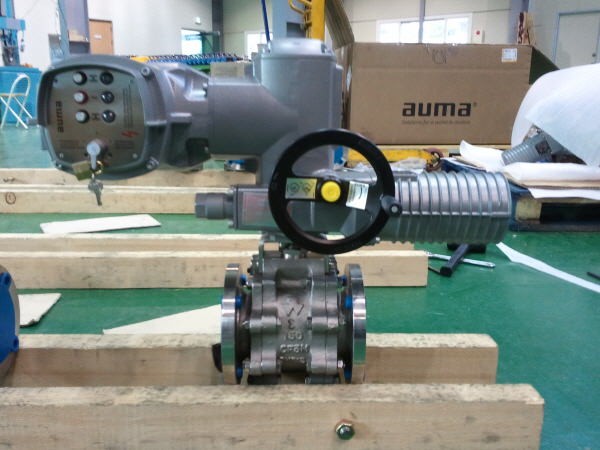 SAMSHIN_OEM_1